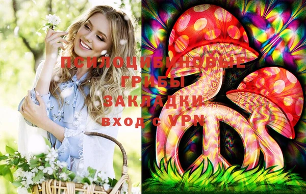 спиды Вуктыл