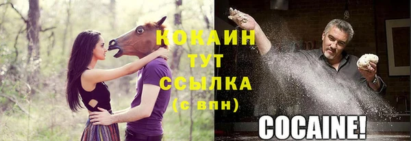 стафф Покровск